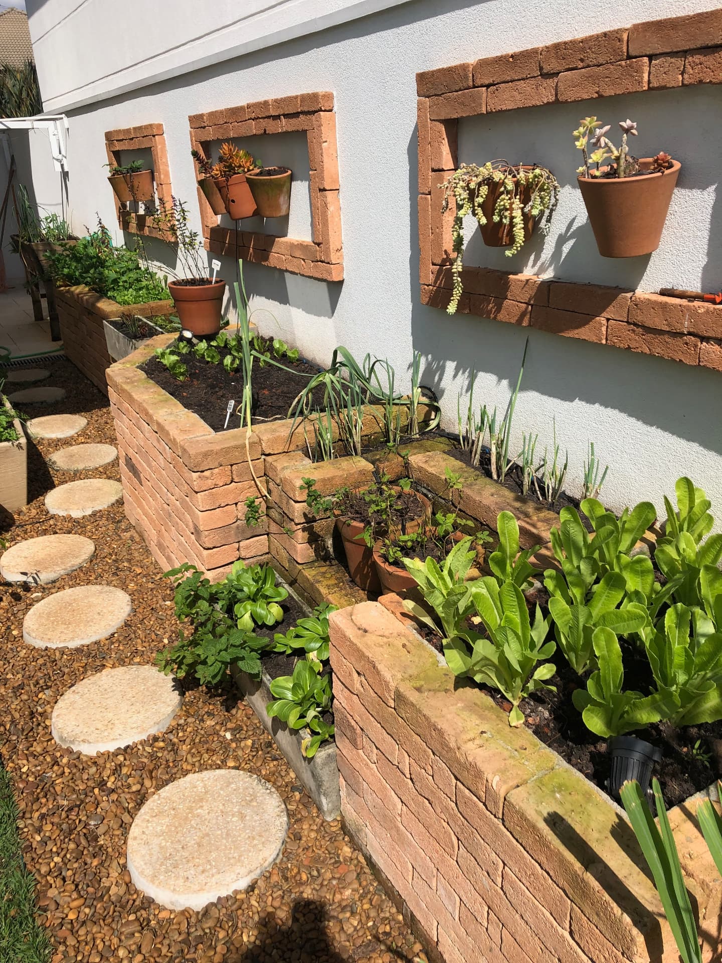 Horta do Prosa com canteiros e vasos na parede